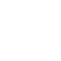 本土专业团队